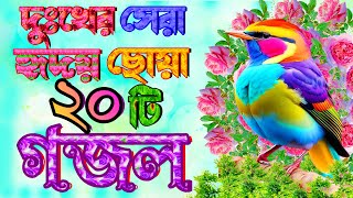 দুঃখের সেরা ২০টি গজল সুনলে কান্না চলে আসে  Very Heart Touching Gojol Top New Gojol Selected Gojol [upl. by Ecnarwal569]