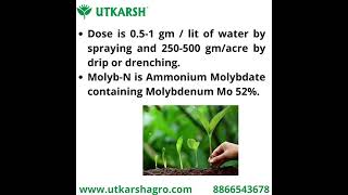 How to overcome molybdenum deficiency in plants and trees Utkarsh MolybN [upl. by Petulah]