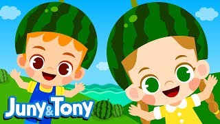 Down by the Bay  Where the Watermelons Grow🍉  Nursery Rhymes for Kids  JunyampTony [upl. by Kallman]