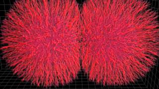 Tumor spheroids simulation CSElab ETHZ [upl. by Neehcas]