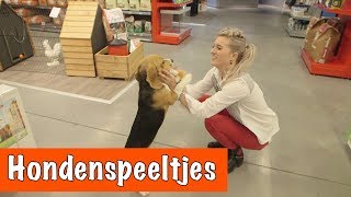 Hondenspeeltjes testen  DierenpraatTV [upl. by Gerrald801]