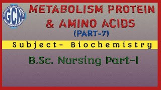 Metabolism Protein amp Amino Acids Part7 [upl. by Friedberg]