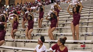 ISIS AAMU Divas v Samford 2019 [upl. by Mairam]