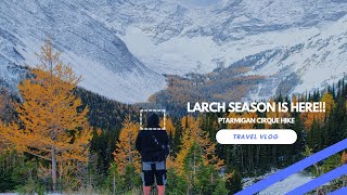 Larch Season in Canada  Kananaskis Alberta 🇨🇦 [upl. by Mcdermott794]