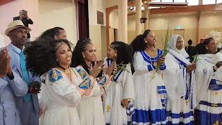 Ethiopian wedding Aradom Hayley and Yordanos kiflay Auckland New Zealand 1 [upl. by Brnaba]