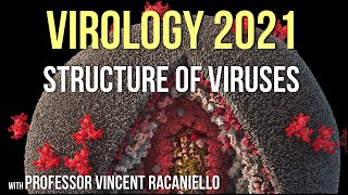 Virology Lectures 2021 4  Structure of Viruses [upl. by Marys142]