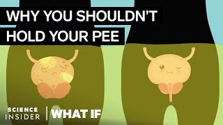 What Happens If You Hold Your Pee In For Too Long [upl. by Downey]