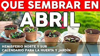 Calendario de Siembra 2022 Que sembrar en Abril en el Huerto de Primavera y de Otoño [upl. by Leanora]