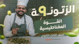 تالتة ثانوي  الزتونة ٩  القوة المغناطيسية [upl. by Alyssa]