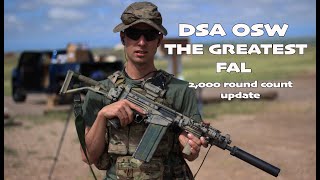 DSA OSW UPDATE  AND WHY ITS THE GREATEST FAL [upl. by Sinegra]