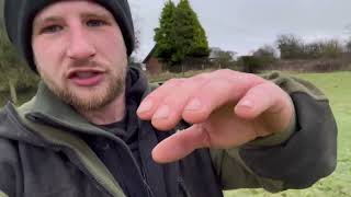 Whistle training a border collie sheepdog [upl. by Hecklau]