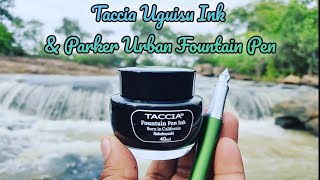 Taccia Sunao iro Uguisu Ink amp Parker Urban premium fountain pen  Monsoon forest green color [upl. by Lovmilla]