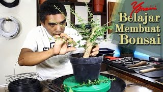 Bonsai Sidogurih  Hokianti  Wiring and Shaping [upl. by Barnie]