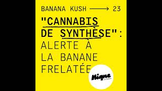 BANANA KUSH 23  quotCannabis de synthèsequot  Alerte à la banane frelatée [upl. by Ateekram]