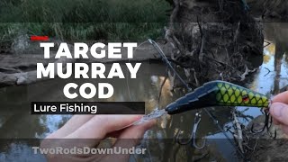 Murray Cod Fishing at Arcadia Fish Hatchery Open Day and the Loddon River [upl. by Buote725]