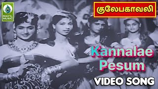 Kannalae Pesum Video Song  Gulebakavali Movie Songs  M G Ramachandran T R Rajakumari [upl. by Arriet]