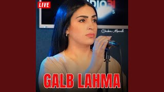 Galb Lahma Live [upl. by Eseneg]