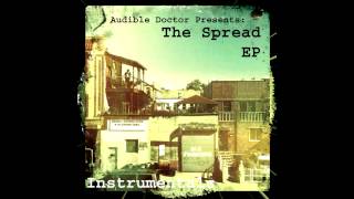 Audible Doctor  The Spread EP  05  Life Can Be Pain Instrumental [upl. by Goodyear859]