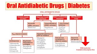 20 Oral Antidiabetic Drugs  Drugs for Treatment of Diabetes  AUDIO Classification of Drugs [upl. by Lihcox311]