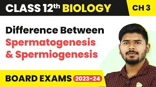 Difference Between Spermatogenesis and Spermiogenesis  Class 12 Biology Ch 3 NCERTNEET 202223 [upl. by Wivestad734]