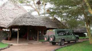 Lion kill in Serengeti near Grumeti River [upl. by Akinehc303]