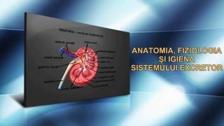 ANATOMIA FIZIOLOGIA ȘI IGIENA SISTEMULUI EXCRETOR [upl. by Eimaj387]