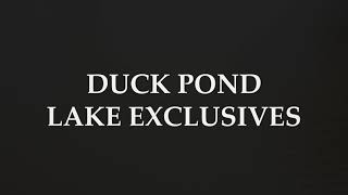 Duck Pond Lake Exclusives [upl. by Hada]