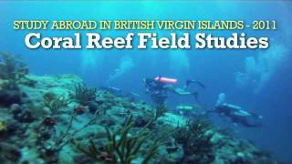 Study Abroad BRITISH VIRGIN ISLANDS [upl. by Eleazar]