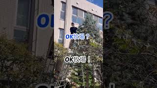 【中庭】イルミネーション【点灯】 縁JOY 相模原 介護 OK shorts クリスマス [upl. by Zenitram]