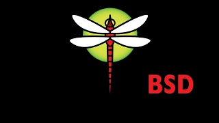 How to Install DragonflyBSD [upl. by Annahsor]