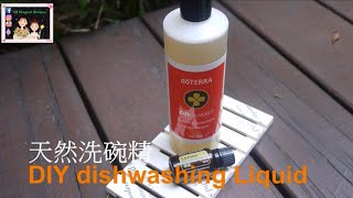 Eng Sub Super easy dishwashing liquid DIYC超簡單自製天然洗碗精 [upl. by Nasah]