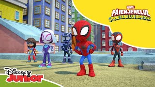 🦸 Lucrul în echipă  Păienjenelul Marvel și prietenii lui uimitori  Disney Junior România [upl. by Einnahpets]