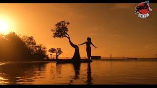 Dancing Trees Walakiri Beach Sumba Island [upl. by Mcleod]