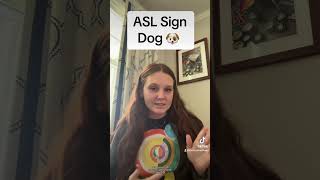 Learn How To Sign quotDogquot in ASL for Beginners  American Sign Language shorts [upl. by Llechtim]