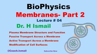 Membrane Transport in Biophysics  Active amp Bulk Transport Membrane Potential  Chapter 02 Part 02 [upl. by Eniawtna348]