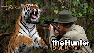 Diamond Bengal Tiger Kills Hunter  Cotw [upl. by Eenafit]