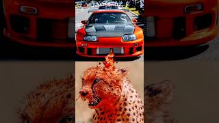 Cars amp Animals jblremix1 car animals supra toyota bmw lamborghini dog cars dogs viral [upl. by Euqinorev203]