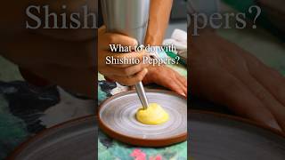 What to do with shishito peppers  fall Mexican chile en nogada [upl. by Sauers]