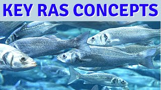 Key Concepts for Healthy Recirculating Aquaculture Systems RAS Fish Farming [upl. by Clippard370]