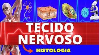 TECIDO NERVOSO ENSINO SUPERIOR HISTOLOGIA  SISTEMA NERVOSO  NEURÔNIO E CÉLULAS DA GLIA [upl. by Ahras]