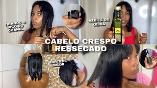 Cortei o Bico do Chanel💇🏽‍♀️  Umectação com Azeite de Oliva no Cabelo Crespo Alisado [upl. by Aihsined931]