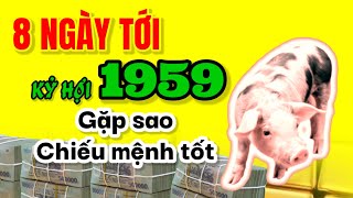 Gặp sao chiếu mệnh tốt 8 ngày tới Kỷ Hợi 1959 Mang lộc về nhà tiền tài tăng rực rỡ [upl. by Enihpesoj790]