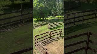 Hayloft view accidentalfarmer farming farmer  homesteading [upl. by Antonin956]