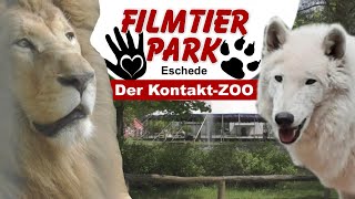 FilmtierPark Eschede  Impressionen  2021 [upl. by Ihsoyim]