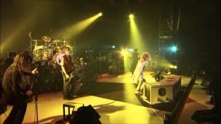 The GazettE  Hyena live RCE [upl. by Yuji784]