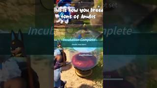 How to get Anubis in Palworld palworld howto gaming [upl. by Attennaej544]