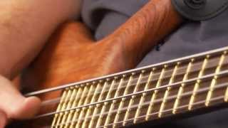 The Warwick Thumb BoltOn 5String  Product Demo with Andy Irvine [upl. by Airekahs]