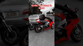 🇳🇵🇦🇺Aprillia Rsv4 with Full system Akrapovic is Brutal 🔊❤️🔥 akrapovic aprilia nepal [upl. by Atirma676]