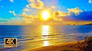 Sunrise from Kailua Beach in Oahu Hawaii  12 Hours of Beach Sunrise  Ocean Waves [upl. by Odlaw524]