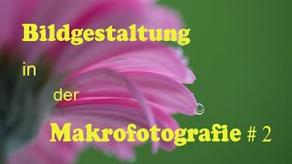 Bildgestaltung in der Makrofotografie 2 [upl. by China672]